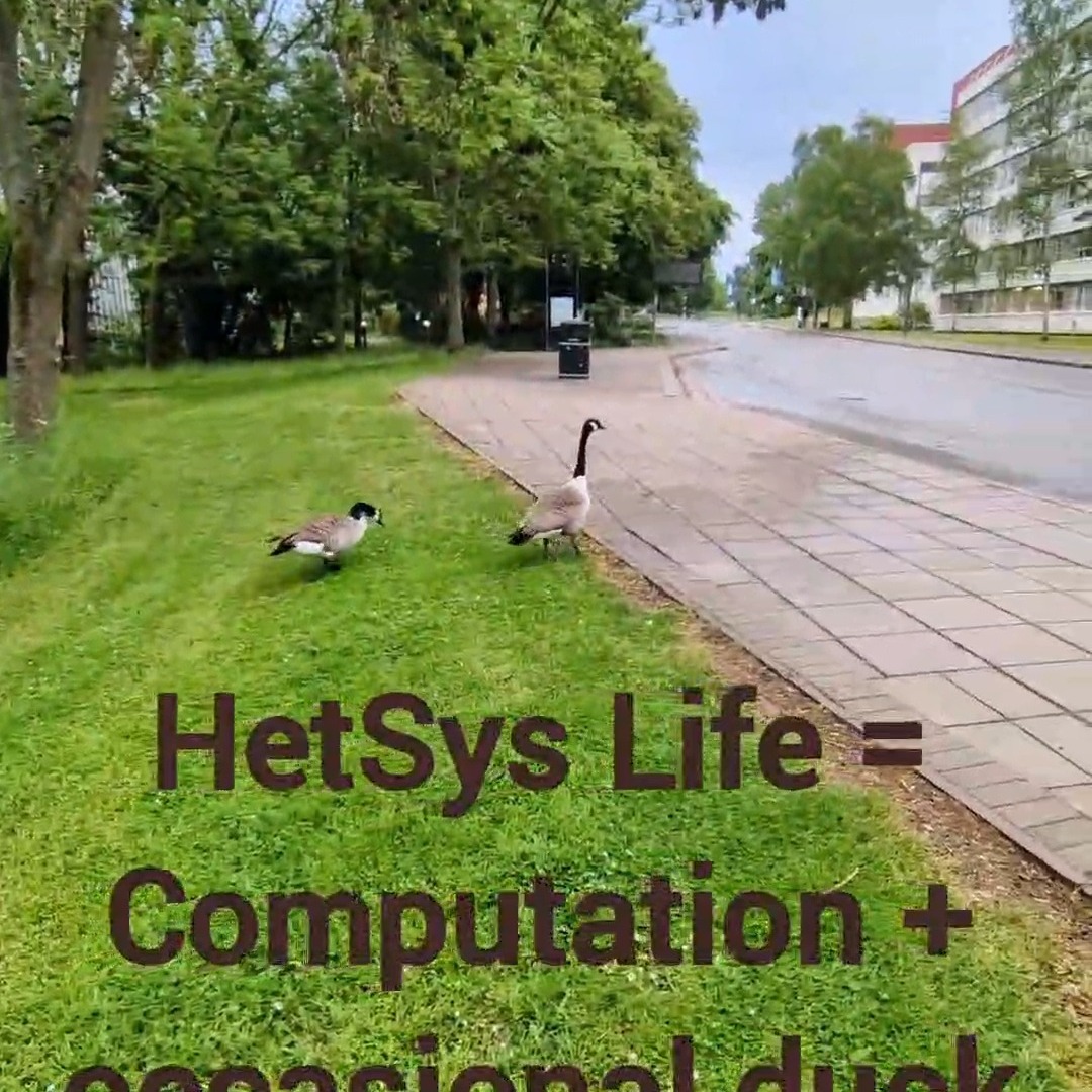 This morning’s campus visitors 🦆🦆 A nice reminder to step away from the screen for a moment, even in the middle of busy HetSys research days.…